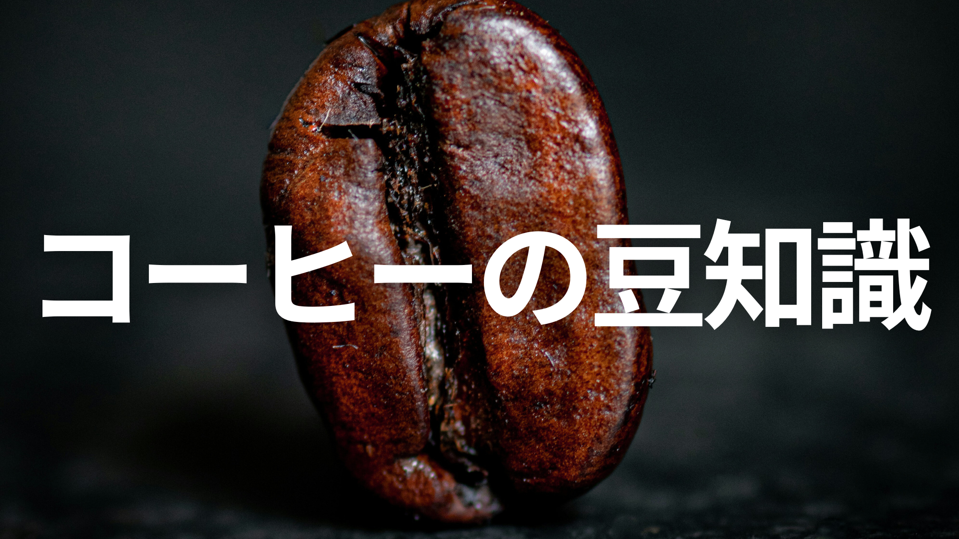 コーヒー豆の基礎知識