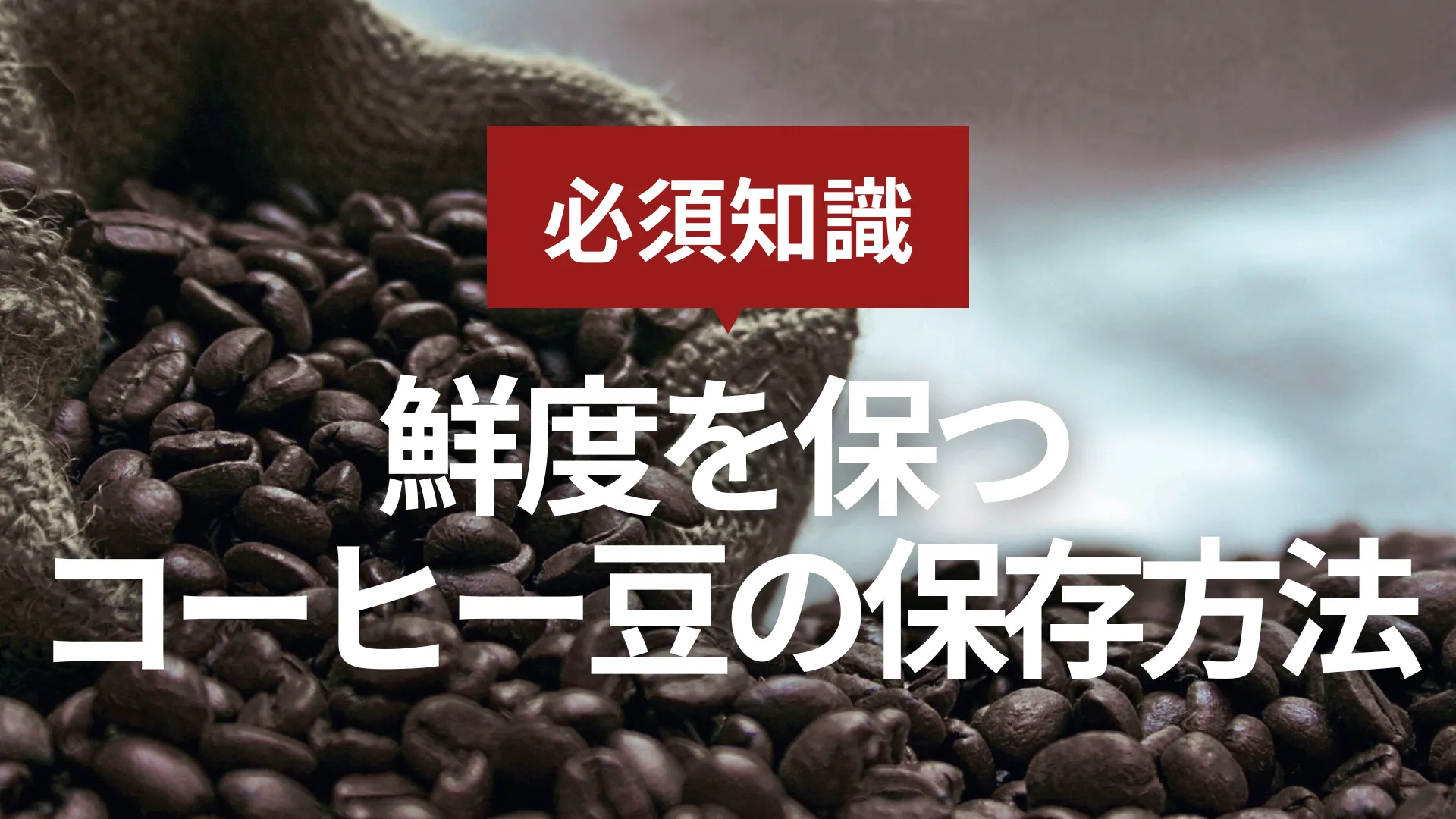 【必須知識】鮮度を保つコーヒー豆の保存方法